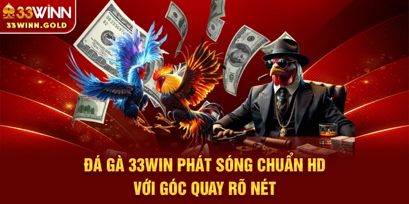 Đá gà 33Win